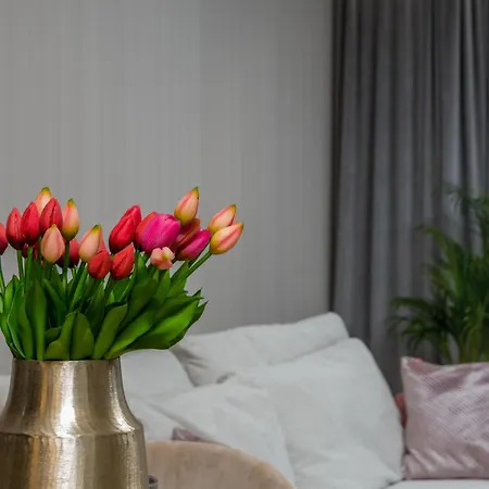 Apartment Premium House *